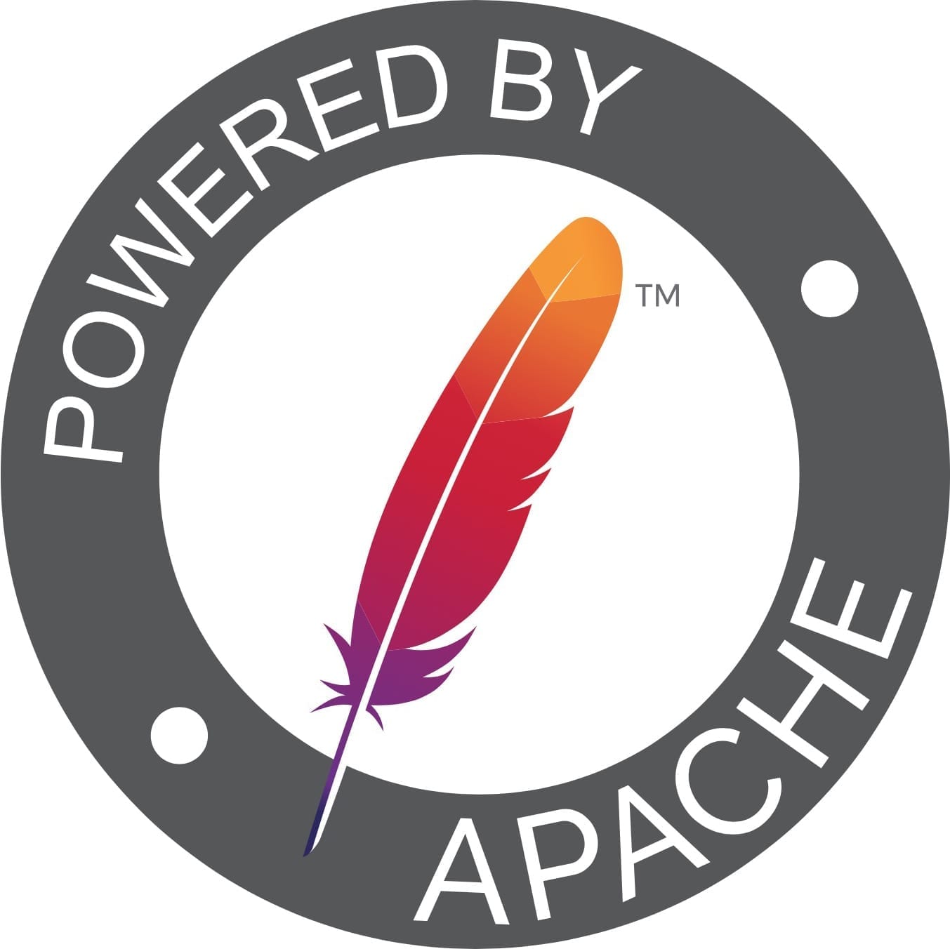 How to host a website on Raspberry Pi with Apache